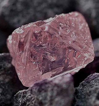 افتتاح سایت