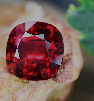 افتتاح سایت